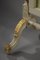 Louis XVI Kaminschirm aus vergoldetem Holz mit Papageien 17
