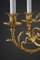 Louis XVI Style Gilt Bronze Chandelier with Parrots 18