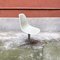 Italienischer Mid-Century Fiberglas Stuhl von Charles & Ray Eames für Vitra 2