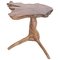 English Yew Root Wood Side Table 1