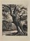 Georges-Henri Tribout, The Tree, Original Etching, Mid-20th-Century, Image 1