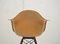 Fauteuil PAW avec Bordure en Corde par Charles Eames pour Zenith Plastics, 1940s 5