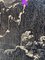 Edmond Li Bellefroid, Attack, Collage & Acrylic on Canvas, Enmarcado, Imagen 4