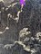 Edmond Li Bellefroid, Attack, Collage e acrilico su tela, Incorniciato, Immagine 4