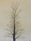 Jacques Joachim Jean Rigal, French Paysage d'Ile de France, Tree, 20th-Century, Lithograph, Image 12