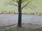 Jacques Joachim Jean Rigal, French Paysage d'Ile de France, Tree, 20th-Century, Lithograph 3