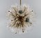 Impressive Ceiling Lamp in Brass and Art Glass by Emil Stejnar for Rupert Nikoll 4