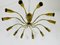 Mid-Century Italian Brass 12-Arm Sputnik Chandelier Attributed to Arredoluce, 1950s 4