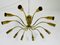 Mid-Century Italian Brass 12-Arm Sputnik Chandelier Attributed to Arredoluce, 1950s, Image 3