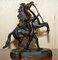 Bronze Marly Horses Louvre Statues After Guillaume Coustou, Set of 2 12