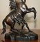 Bronze Marly Horses Louvre Statues After Guillaume Coustou, Set of 2 8
