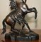 Statuette Marly Horses in bronzo di Guillaume Coustou, set di 2, Immagine 8