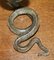 Kalt bemalte Kobra Schlangenstatue oder Uhrhalter aus Bronze von Franz Bergman, Wien 10