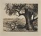 Georges-Henri Tribout, The Tree, Original Etching, Early 20th-Century 1