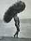 Herb Ritts, Male Nude with Tumbleweed, Paradise Cove, 1988, Silver Gelatin Print 1