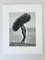 Herb Ritts, desnudo masculino con Tumbleweed, Paradise Cove, 1988, gelatina de plata, Imagen 2