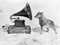 Herbert Ponting / Scott Polar Research Institute, Ponting, Chris & Gramaphone, 1911, Silbergelatine Druck 1