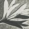 Karl Blossfeldt, Black & White Flower, 1942, fotograbado, enmarcado, Imagen 9