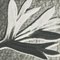 Karl Blossfeldt, Black & White Flower, 1942, Photogravure, Framed 9
