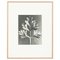 Karl Blossfeldt, Black & White Flower, 1942, Photogravure, Framed 13