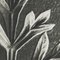Karl Blossfeldt, Black & White Flower, 1942, Heliogravüre, gerahmt 10