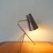 Italian Mid-Century Tripod Desk Lamp, 1950s 9