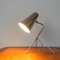 Italian Mid-Century Tripod Desk Lamp, 1950s, Image 6
