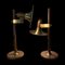 Lampes de Bureau Architecturales Ajustables par Temde, Suisse, Set de 2 32