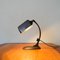 Vintage Desk Lamp from Molitor Novum, 1930s 5