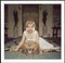 Slim Aarons, Beauty and the Beast, 1959, Fotografia a colori, Incorniciato, Immagine 1