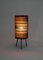 Mid-Century European Table or Bedside Lamp, 1960s, Image 3