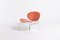 Lounge Chair From G. Vegni and G. Gualtierotti for Fasem, Italy 1