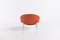 Lounge Chair From G. Vegni and G. Gualtierotti for Fasem, Italy, Image 6