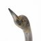 Excavation Swan aus Murano Glas von Gino Cenedese 9
