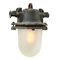 Industrial Gray Cast Iron Frosted Glass Pendant Lamp 2