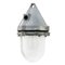 Industrial Clear Glass & Grey Pendant Light 1
