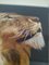 Modern Chinese Lion, Silk Embroidery & Textile on Panel, Framed 5