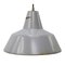 Industrial Dutch Grey Enamel Factory Pendant Lights from Philips 1