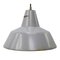 Lámparas colgantes industriales holandesas esmaltadas en gris de Philips, Imagen 1