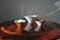 Gilded Bowls in White Porcelain by Violise Lunn for Royal Copenhagen, Set of 3 12