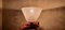 Italian Wall Lamps in Murano Glass, Set of 2 3