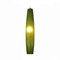 Italian Green Pendant in Murano Glass attributed to Alessandro Pianon for Vistosi, 1960s 13