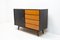 Mid-Century Chest of Drawers U-458 by Jiri Jiroutek, 1960s 2