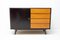 Mid-Century Chest of Drawers U-458 by Jiri Jiroutek, 1960s, Image 13