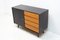 Mid-Century Chest of Drawers U-458 by Jiri Jiroutek, 1960s, Image 17