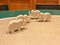 Travertine Animal Figurines by Fratelli Mannelli, Italy, 1970s, Set of 52 5