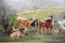 Carl Schild, Austrian Countryside, 1899, óleo sobre lienzo, enmarcado, Imagen 3