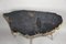 Petrified Wood Coffee Table with Stainless Steel Feet, Image 10