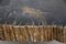 Mesa de centro de madera petrificada con patas de acero inoxidable, Imagen 5