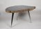 Petrified Wood Coffee Table with Stainless Steel Feet 11